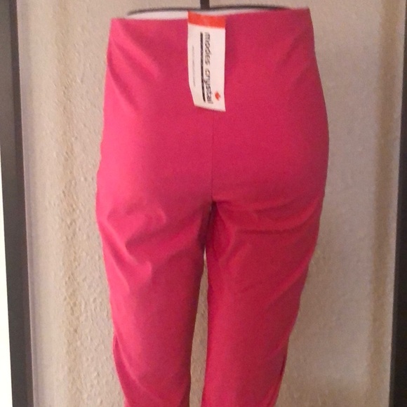 Chic Pink Button-Accent dress Trousers pants - Picture 4 of 14